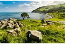 Đường rộng tối thiểu 3,5 m mới được x&acirc;y chung cư mini ở TP HCM-21