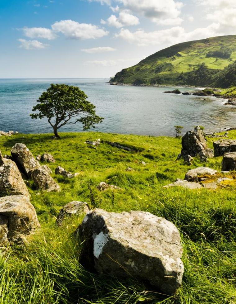 C&Ocirc;NG TY TNHH THIẾT KẾ - X&Acirc;Y DỰNG NỘI THẤT TH-58